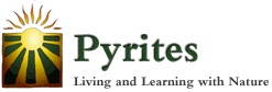 Pyrites. Living and Learning with Nature